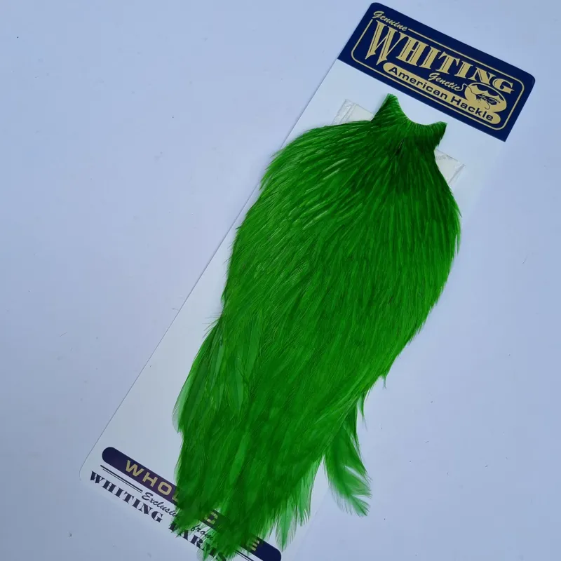 Whiting American Rooster Cape in  Highlander Green-2